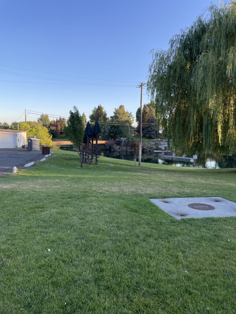 Parking lot and the grass area with willow tree and the river in the background.