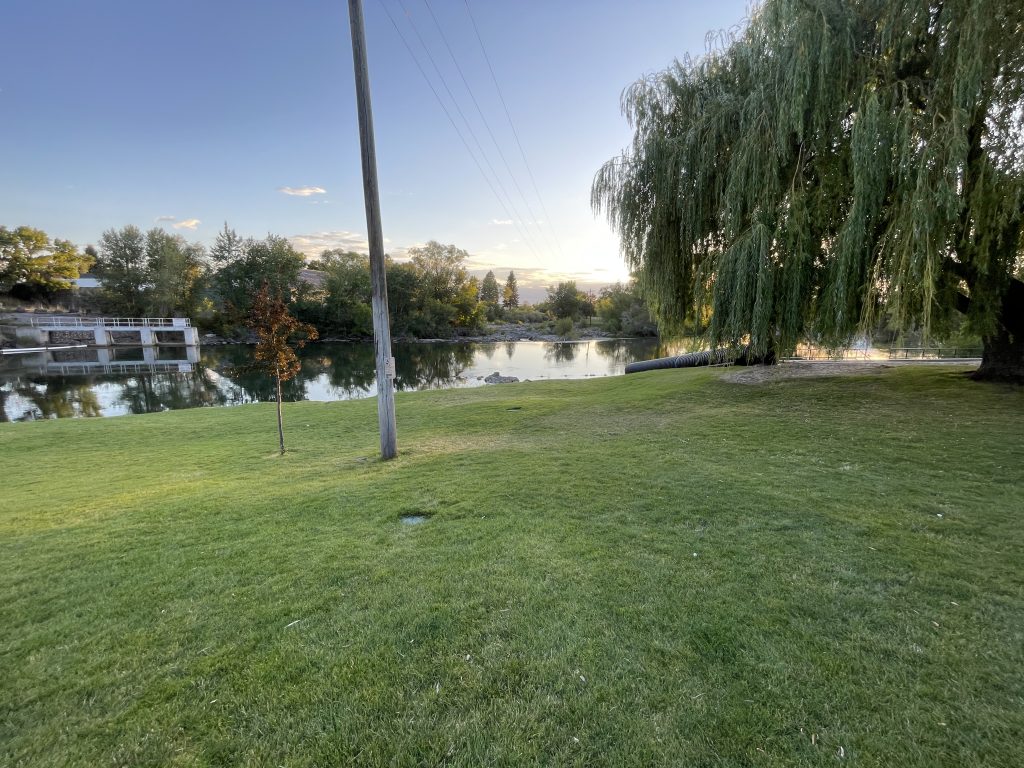 View of the grass area of the Sandbar in St. Anthony.