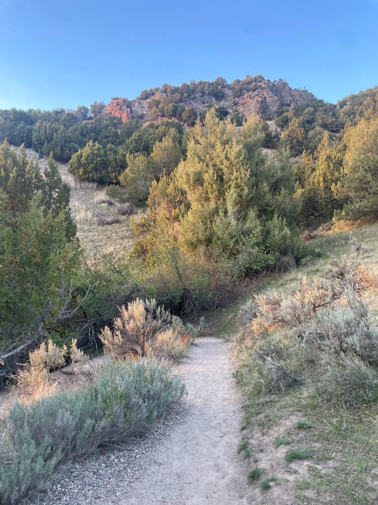 snake river sunset view from crest creek trail rexburg idaho