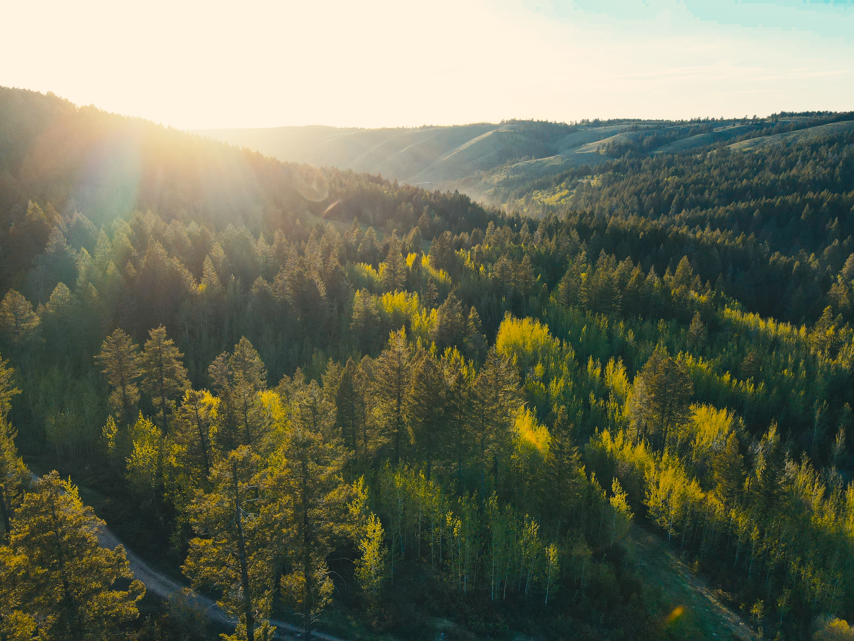 Aerial view of the forested hills along the Kelly Canyon Trail near Rexburg, Idaho at sunset