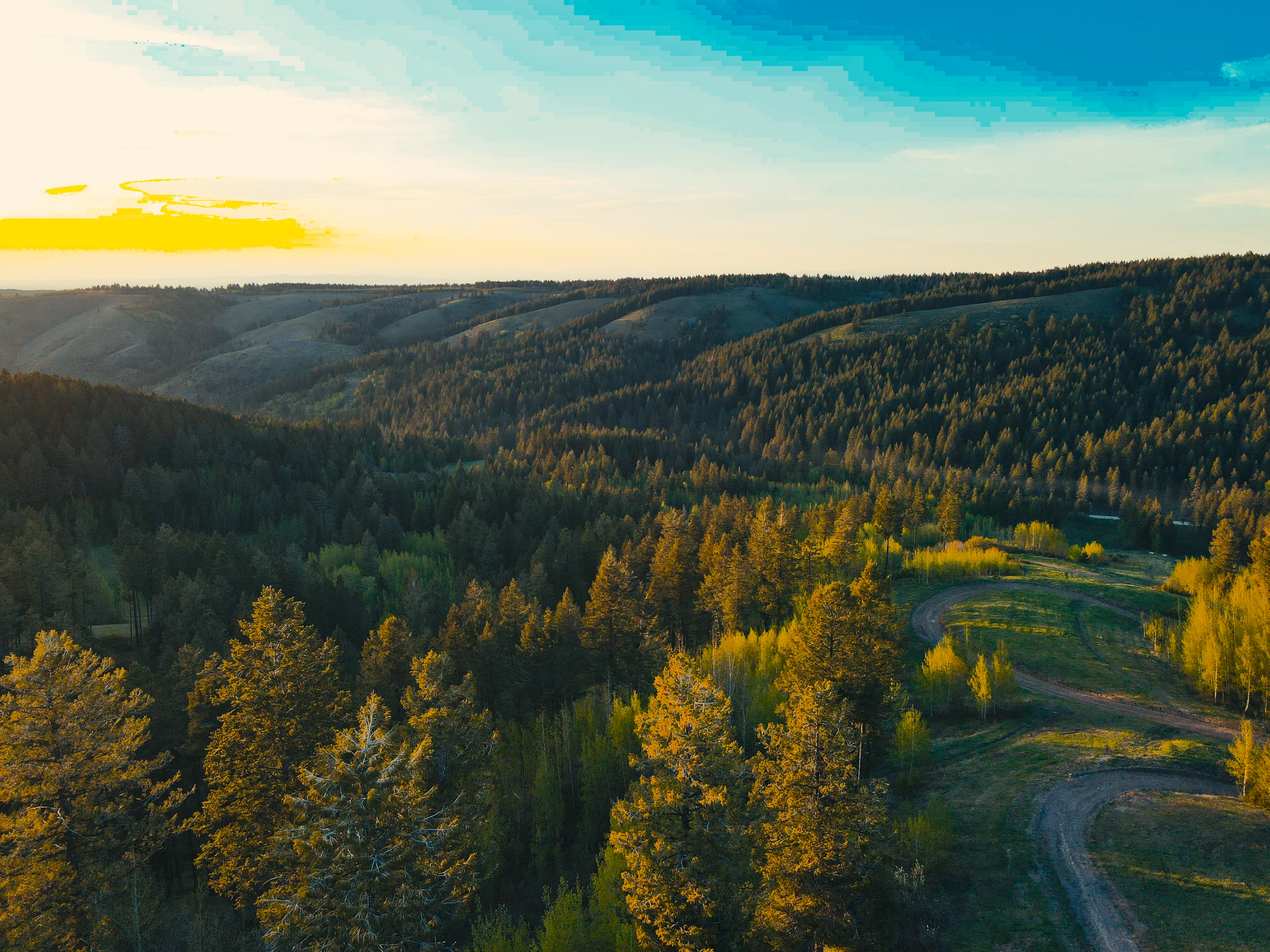 Aerial view of the winding loop road and forest along the Kelly Canyon Trail