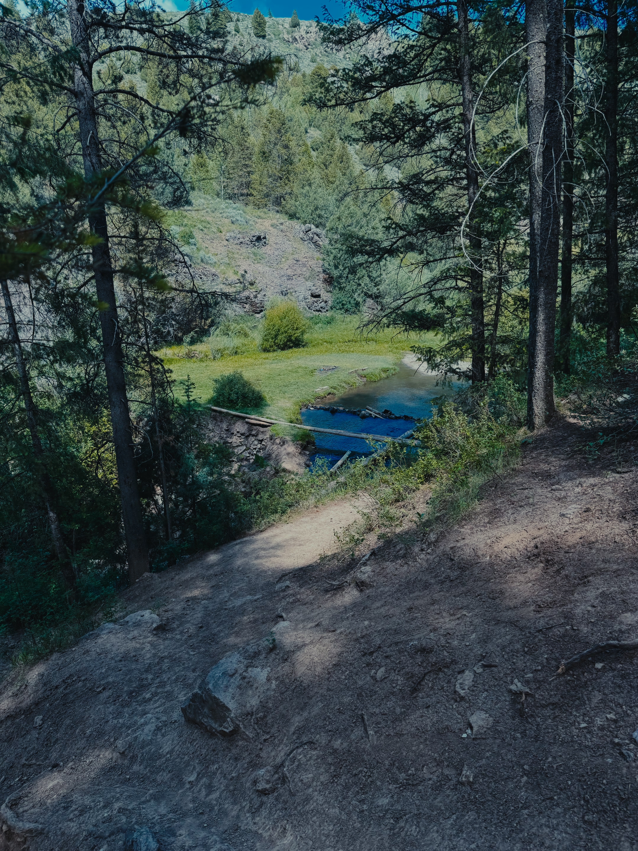 The blue swimming hole at Webster Dam surrounded by grass and fallen logs