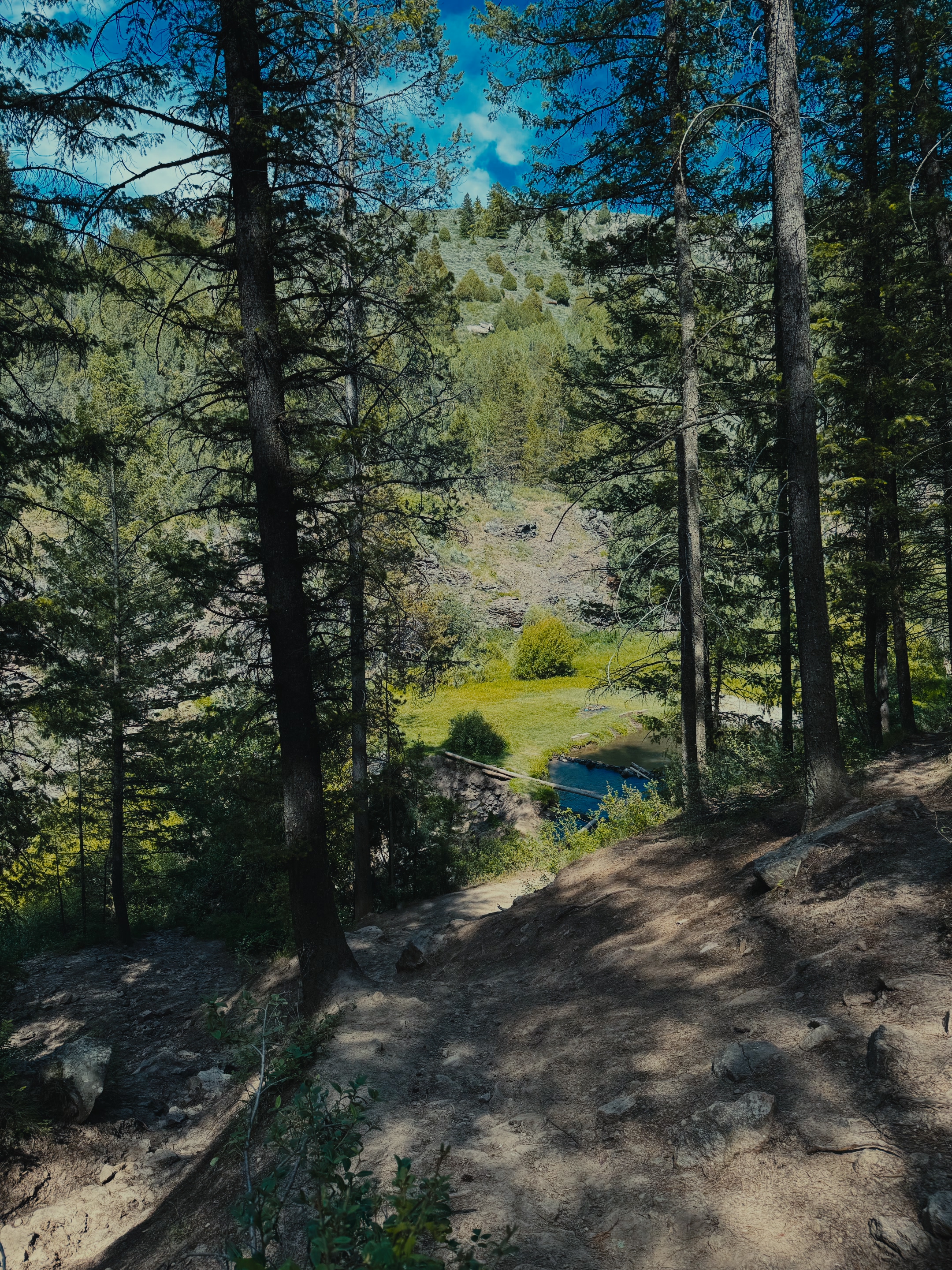 First glimpse of the blue Webster Dam pool through the trees from the hiking trail