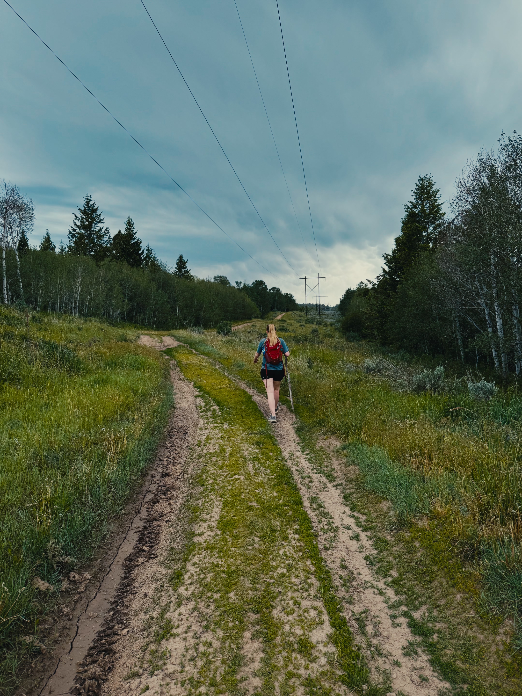 A hiker walking along an open meadow trail with power lines near Webster Dam