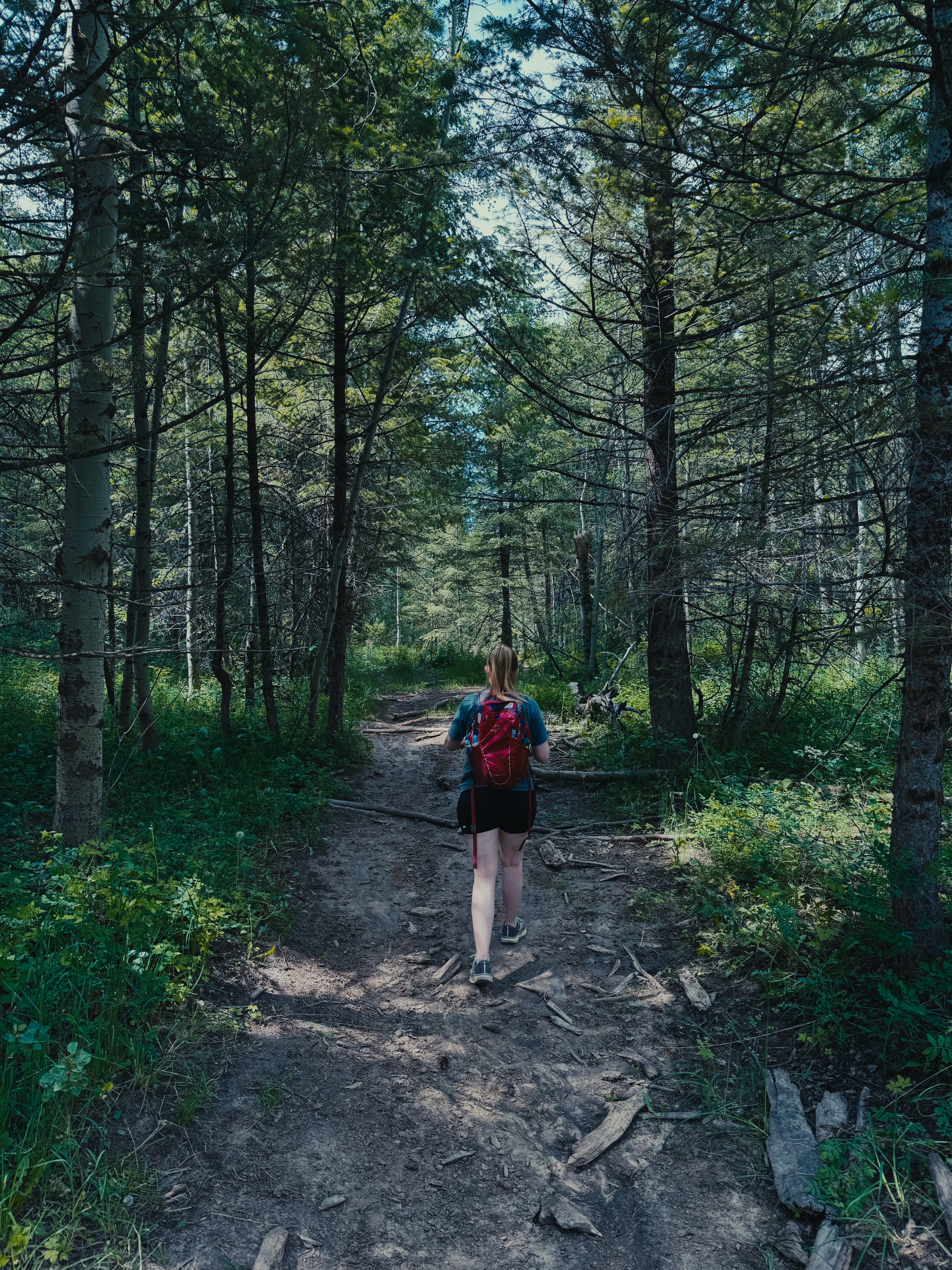 Hiker with a red backpack walking along a shaded forest trail on the Webster Dam hike near Rexburg, Idaho