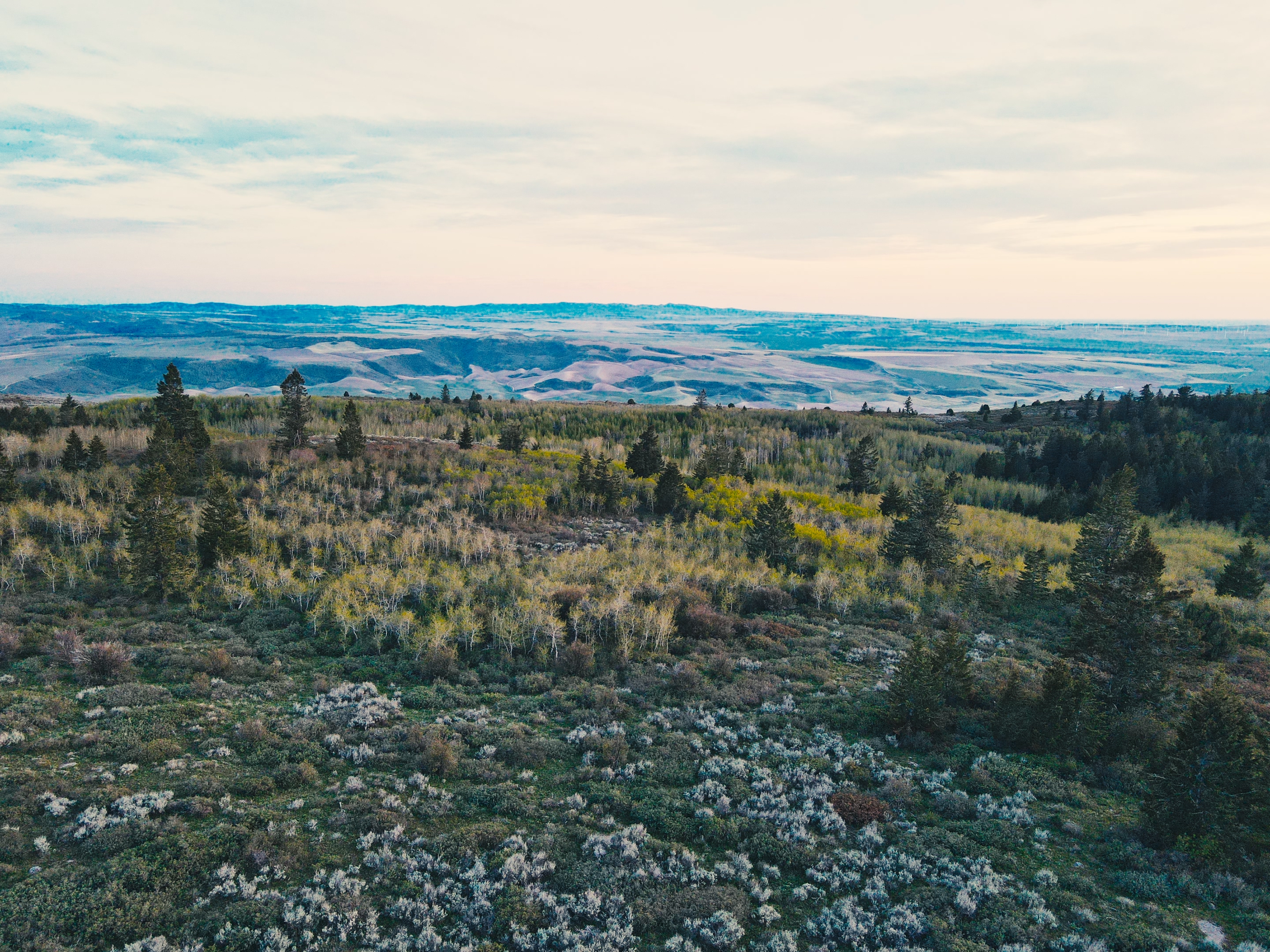 Mountain view overlook along the Kelly Canyon Trail with distant valley views at sunset